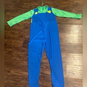 Adult Luigi Costume